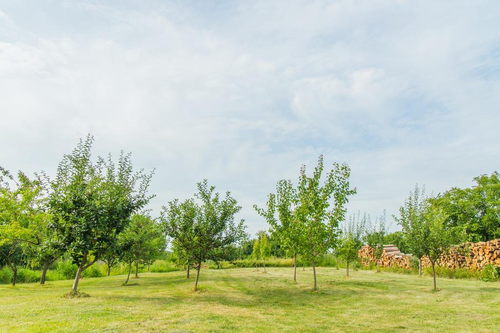 Garden Holiday Home Drenje  Екстериор снимка